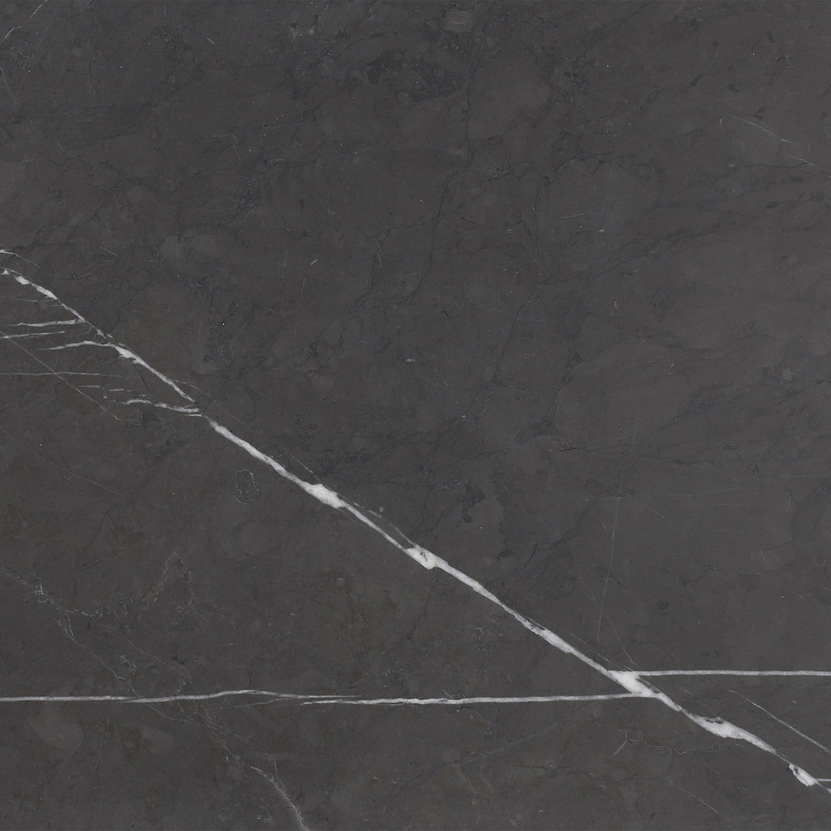 Mount Grey Plain Honed 30 x 30 x 1 cm Field Tile 