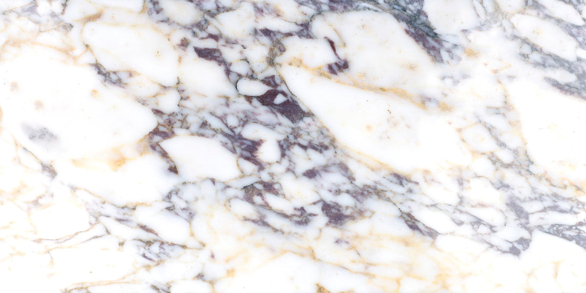 Calacatta Viola Honed 30 x 60 x 1 cm Field Tile 