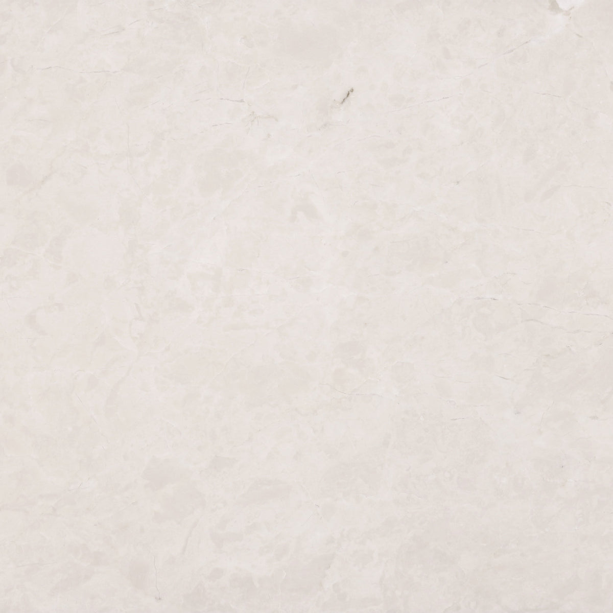 Crema Ella Polished 30 x 30 x 1 cm Field Tile 
