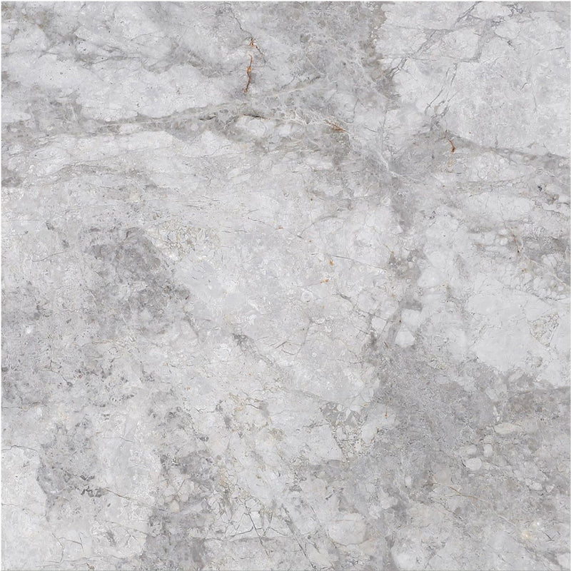 Tundra Blue Polished 30 x 30 x 1 cm Field Tile