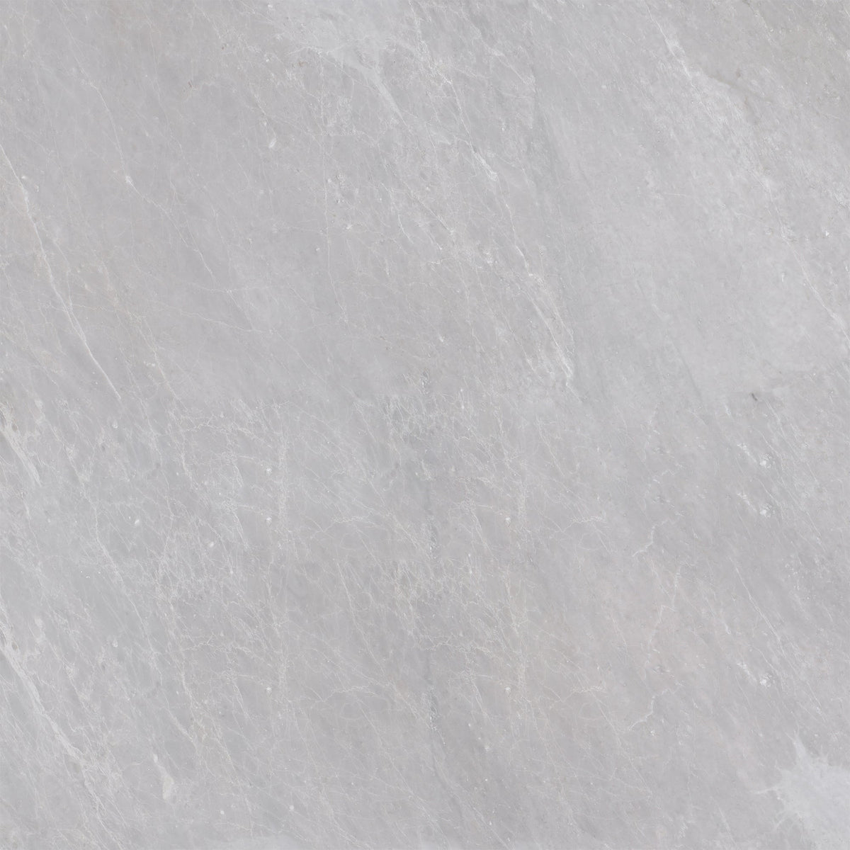 Earth Grey Honed 60 x 60 x 1.25 cm Field Tile 