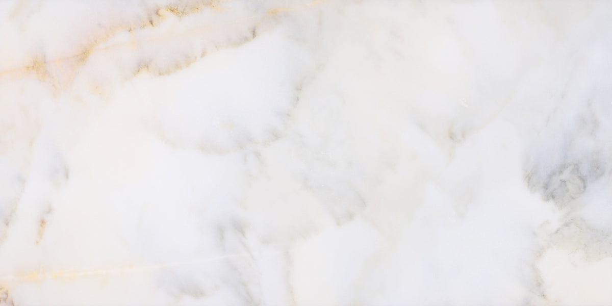 Calacatta Vida Polished 30 x 60 x 1 cm Field Tile 