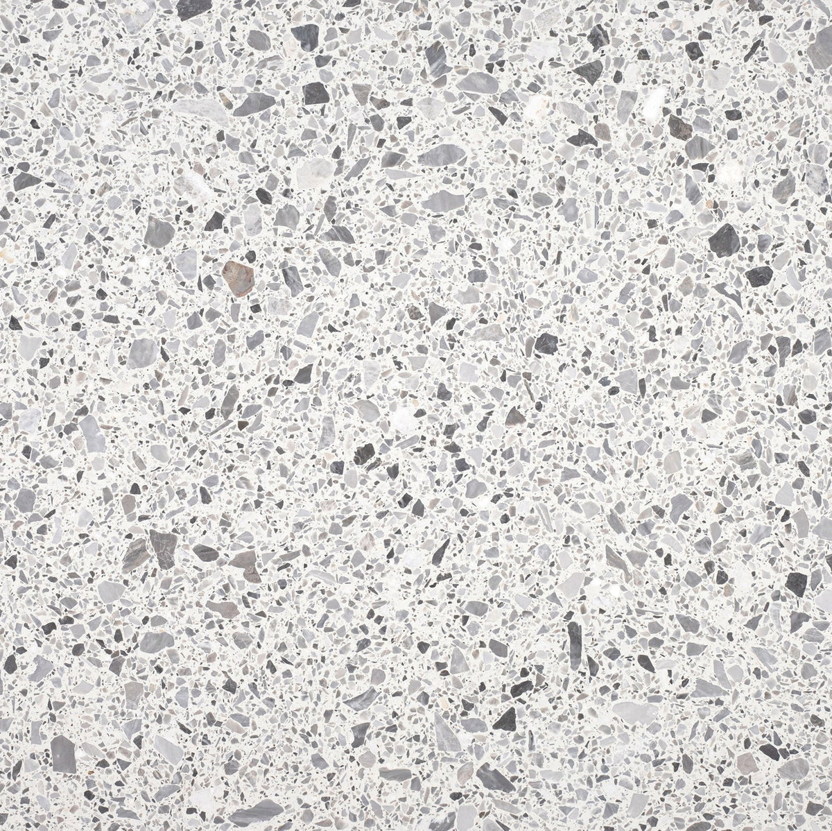 Nordic Grey Honed 60 x 60 x 1.25 cm Terrazzo Field Tile #17 