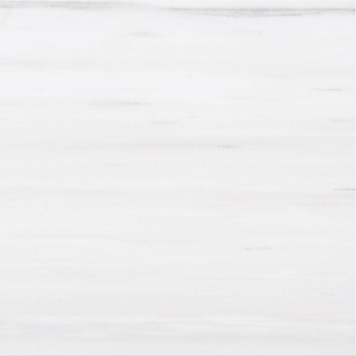 Glacier White Alanur Honed 30 x 30 x 1 cm Field Tile 