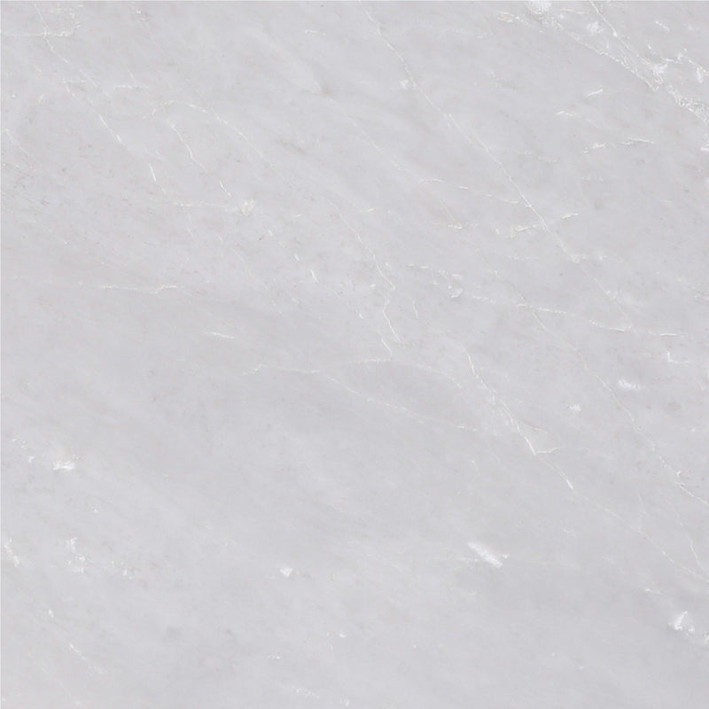 Ice Grey Honed 30 x 30 x 1 cm Field Tile