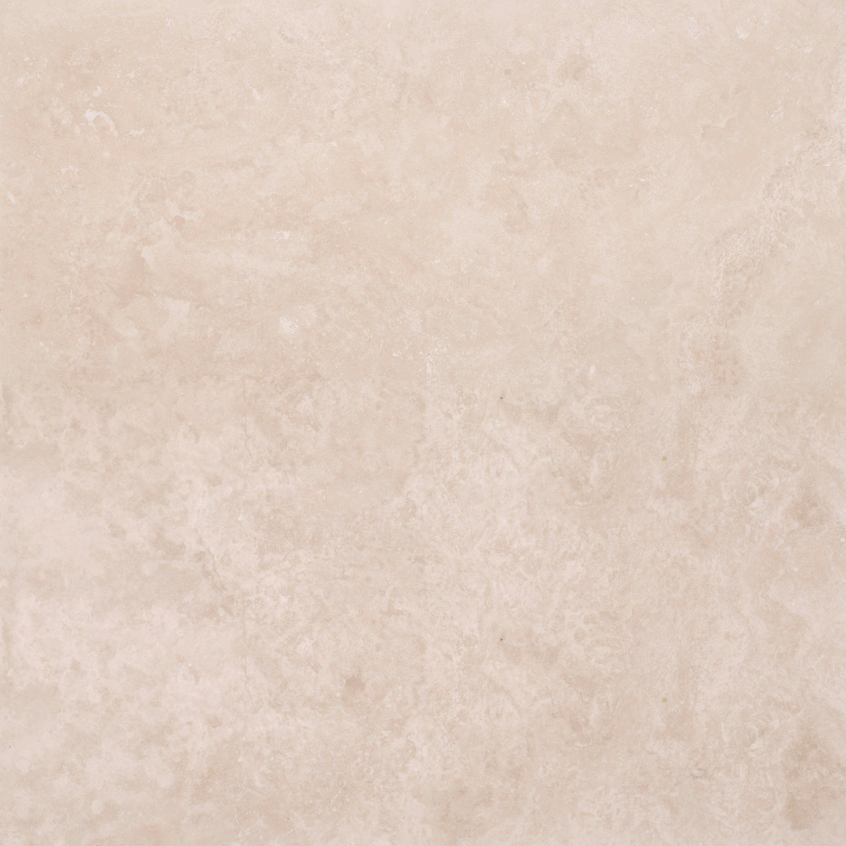 Classic Light CC Honed 60 x 60 x 1.25 cm Field Tile 