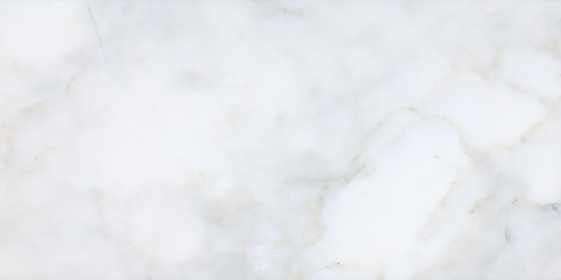 Calacatta Vida Honed 30 x 60 x 1 cm Field Tile