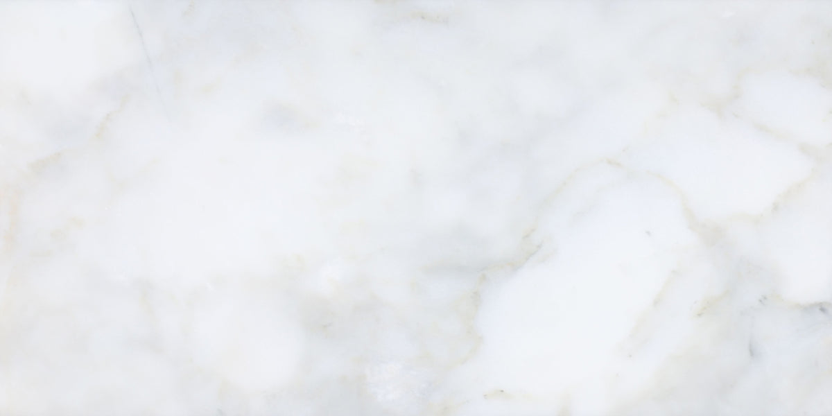Calacatta Vida Honed 30 x 60 x 1 cm Field Tile 