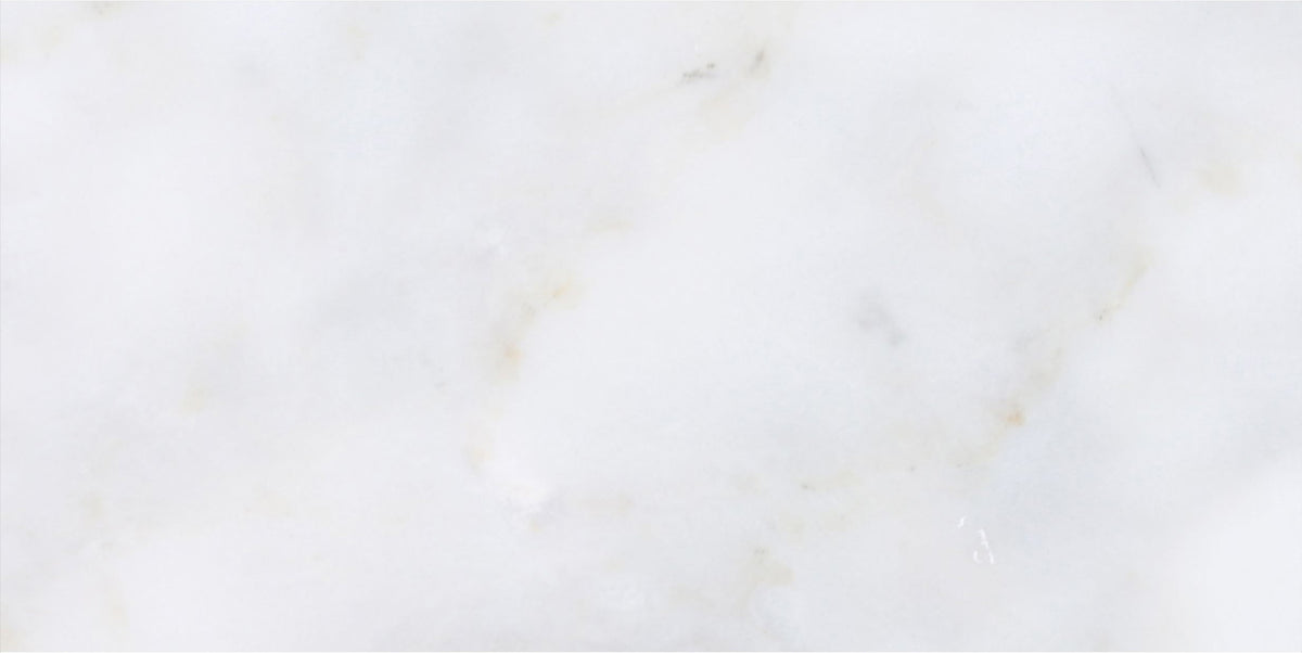 Calacatta Vida Honed 15 x 30 x 1 cm Field Tile 