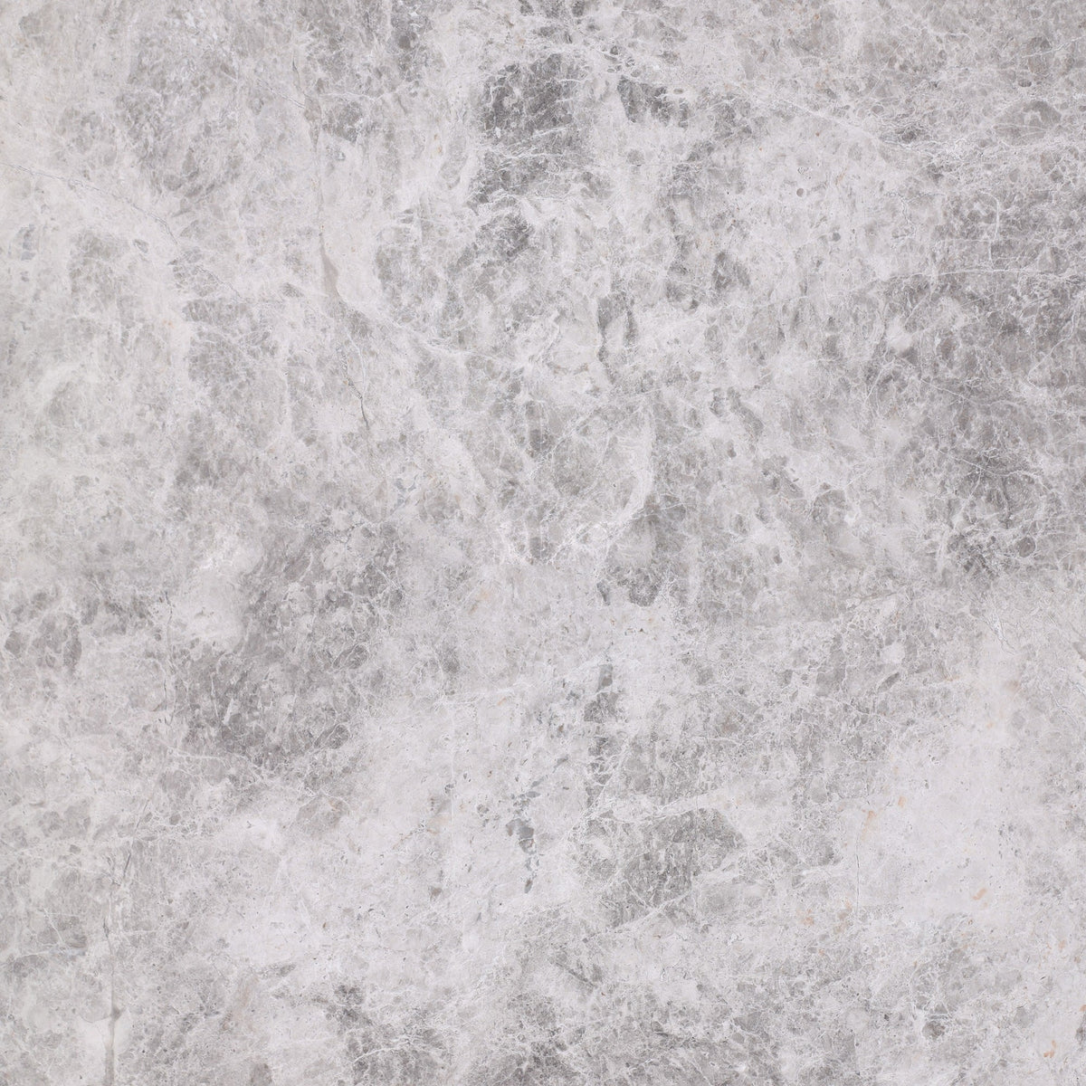 Tundra Grey Honed 60 x 60 x 1.5 cm Field Tile 