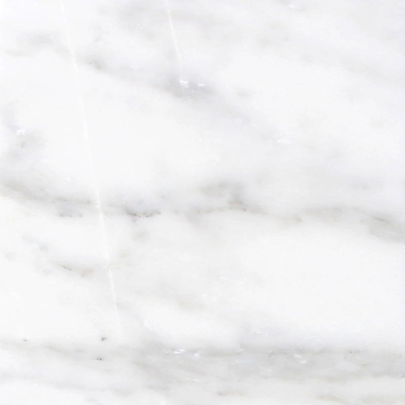 Calacatta Vida Honed 60 x 60 x 1 cm Field Tile