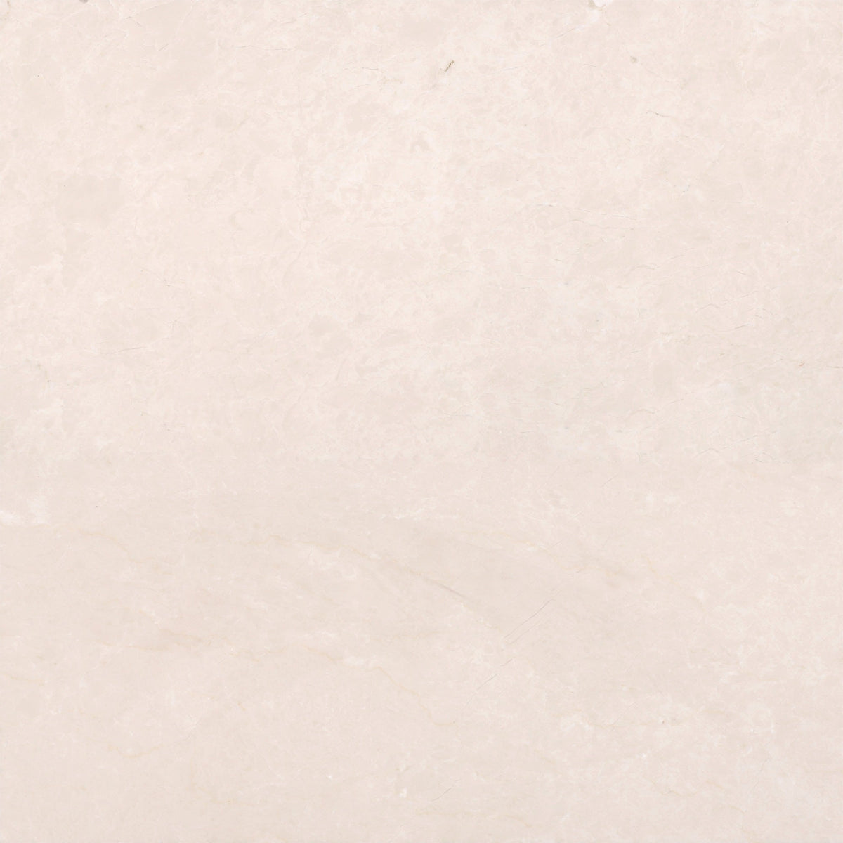 Crema Ella Polished 60 x 60 x 1.5 cm Field Tile 
