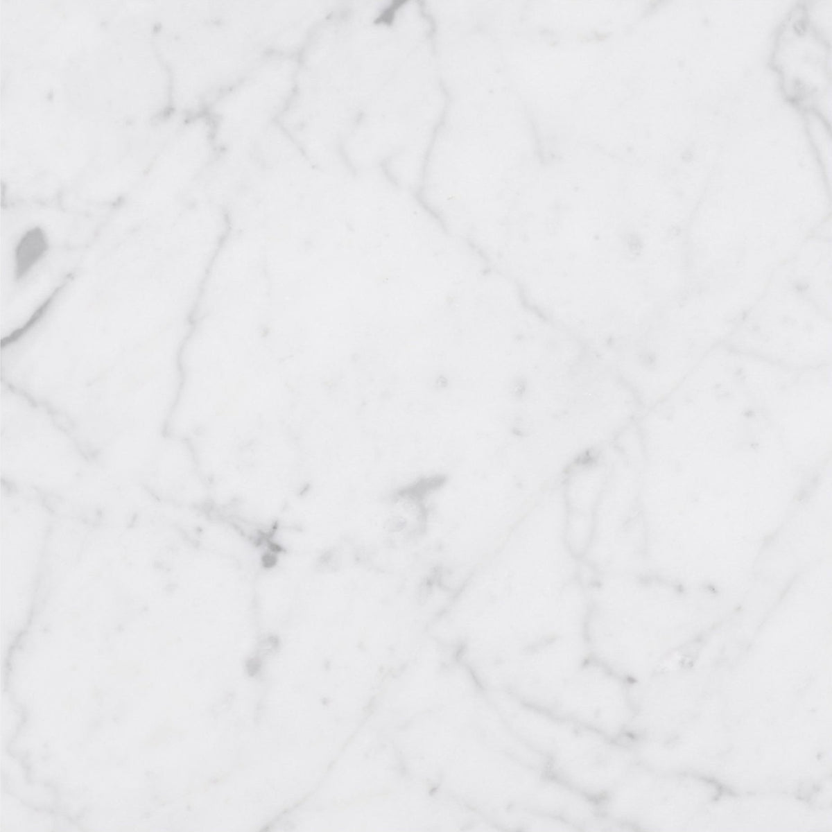 Alba Vera Honed 45 x 45 x 1.25 cm Field Tile 
