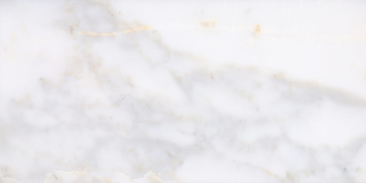 Calacatta Vida Polished 30 x 60 x 1 cm Field Tile 