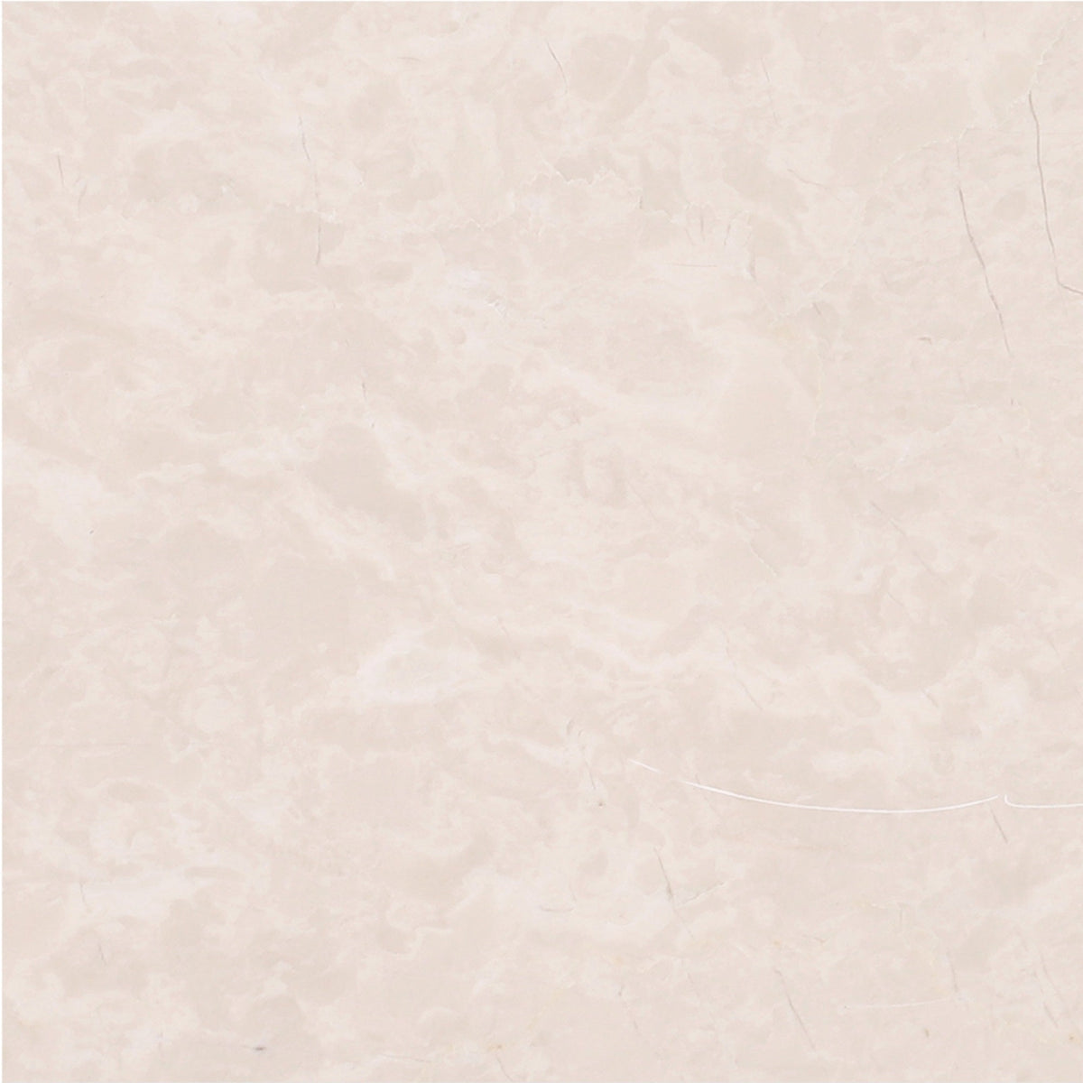 Crema Ella Honed 15 x 15 x 1 cm Field Tile 