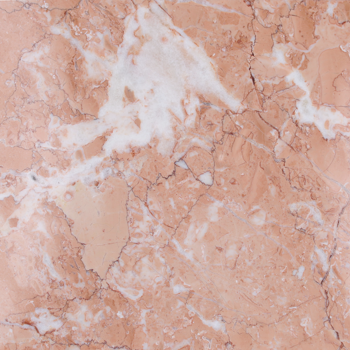 Bellini Polished 30 x 30 x 1 cm Field Tile 