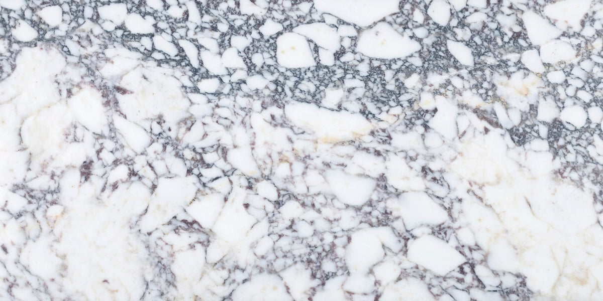 Calacatta Viola Honed 30 x 60 x 1 cm Field Tile 