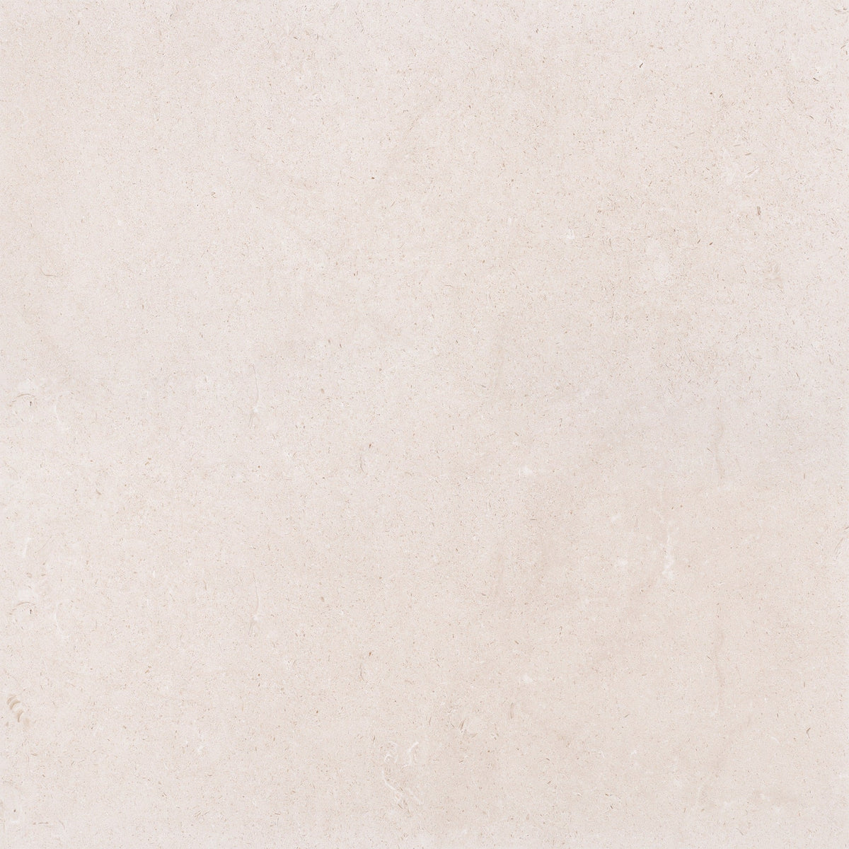 Simena Honed 60 x 60 x 1.25 cm Field Tile 