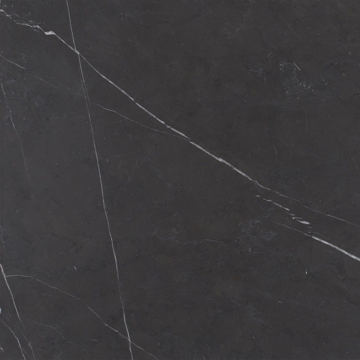 Mount Grey Plain Honed 30 x 30 x 1 cm Field Tile 