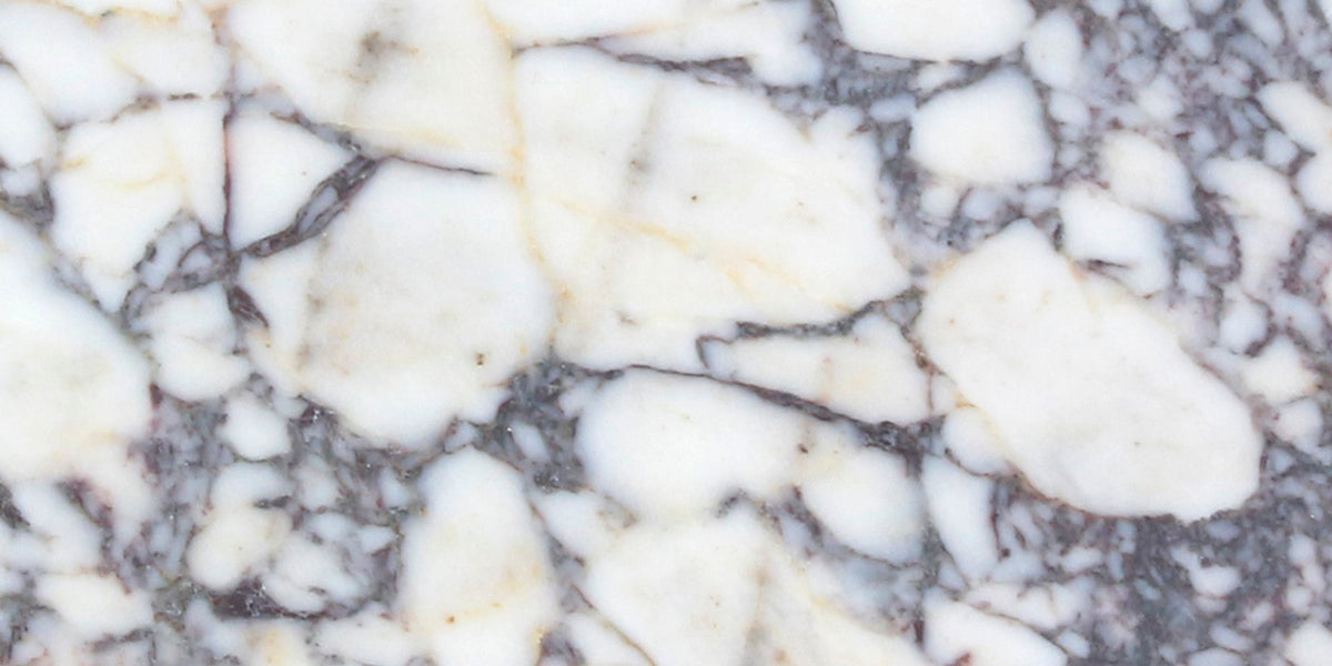 Calacatta Viola Honed 30 x 60 x 1 cm Field Tile 