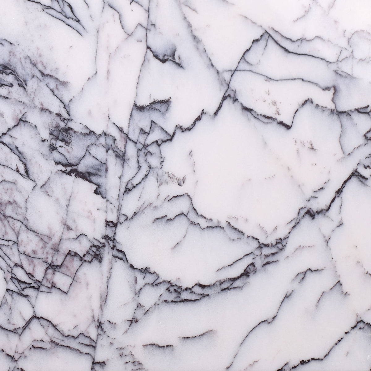 Violeta Polished 30 x 30 x 1 cm Field Tile 