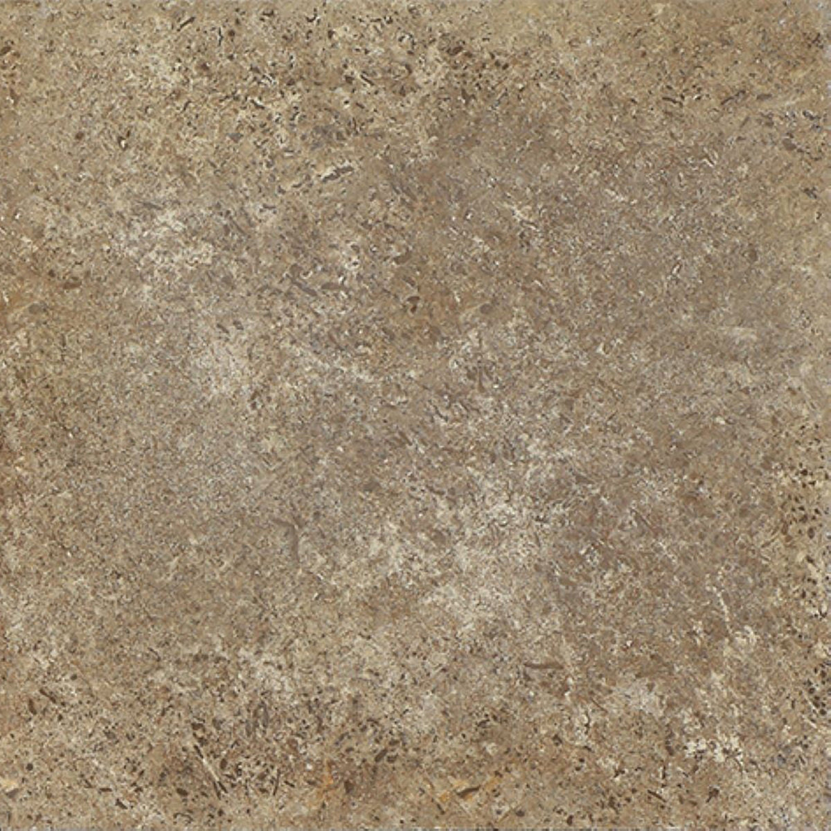 Noce Dark CC Honed 30 x 30 x 1 cm Field Tile 
