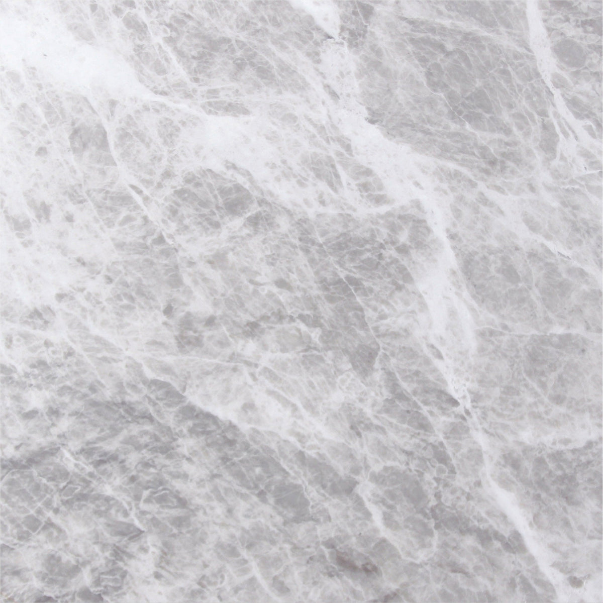 Nordic Grey Honed 45 x 45 x 1.25 cm Field Tile 