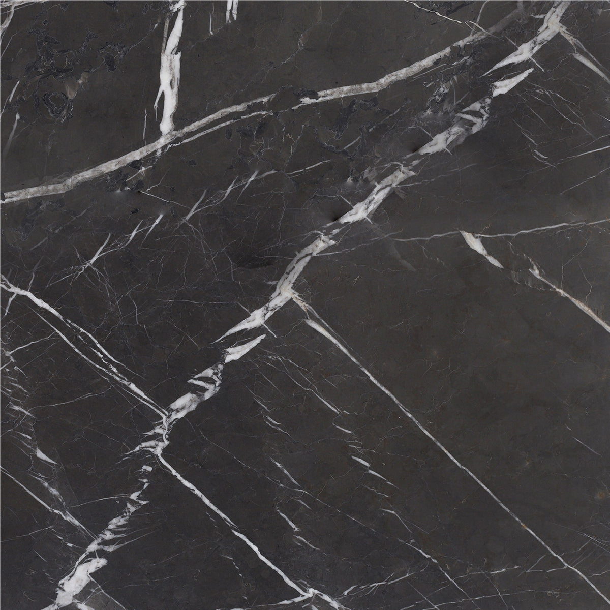 Mount Grey Plain Brushed 45 x 45 x 1.25 cm Field Tile 