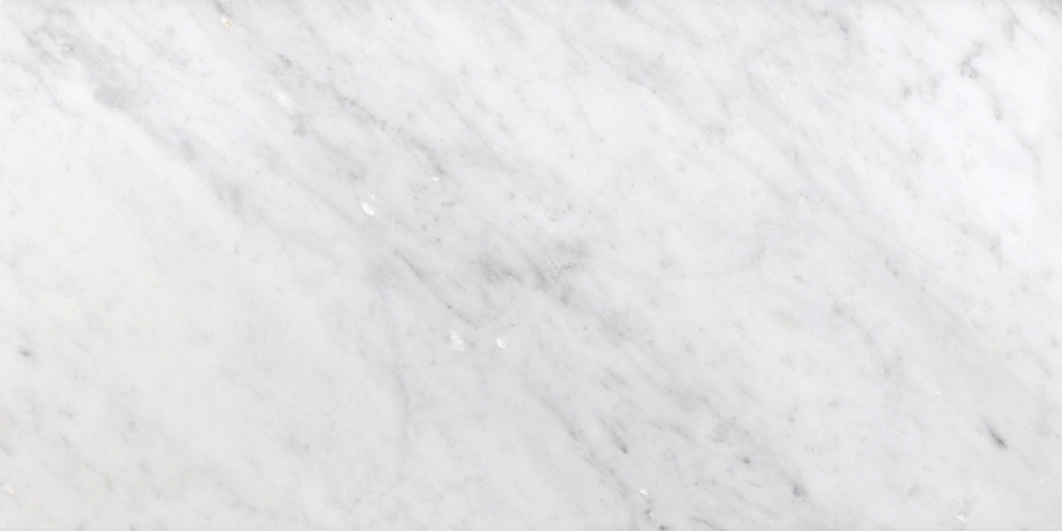 Bianco Carrara Honed 30 x 60 x 1 cm Field Tile 