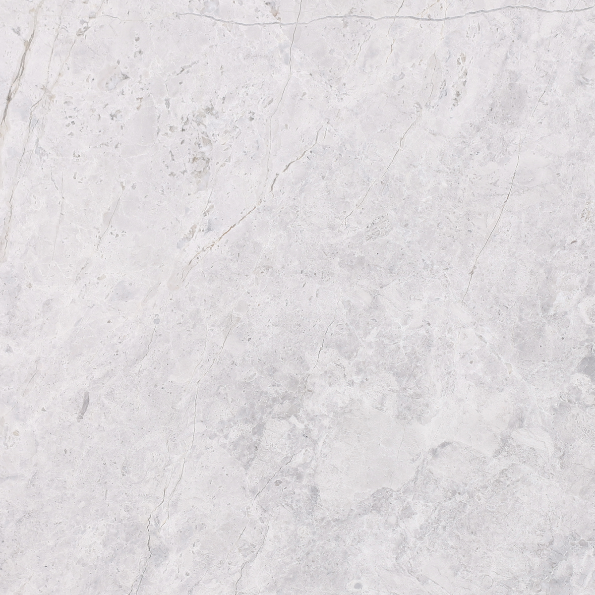 Tundra Grey Honed 45 x 45 x 1.25 cm Field Tile 