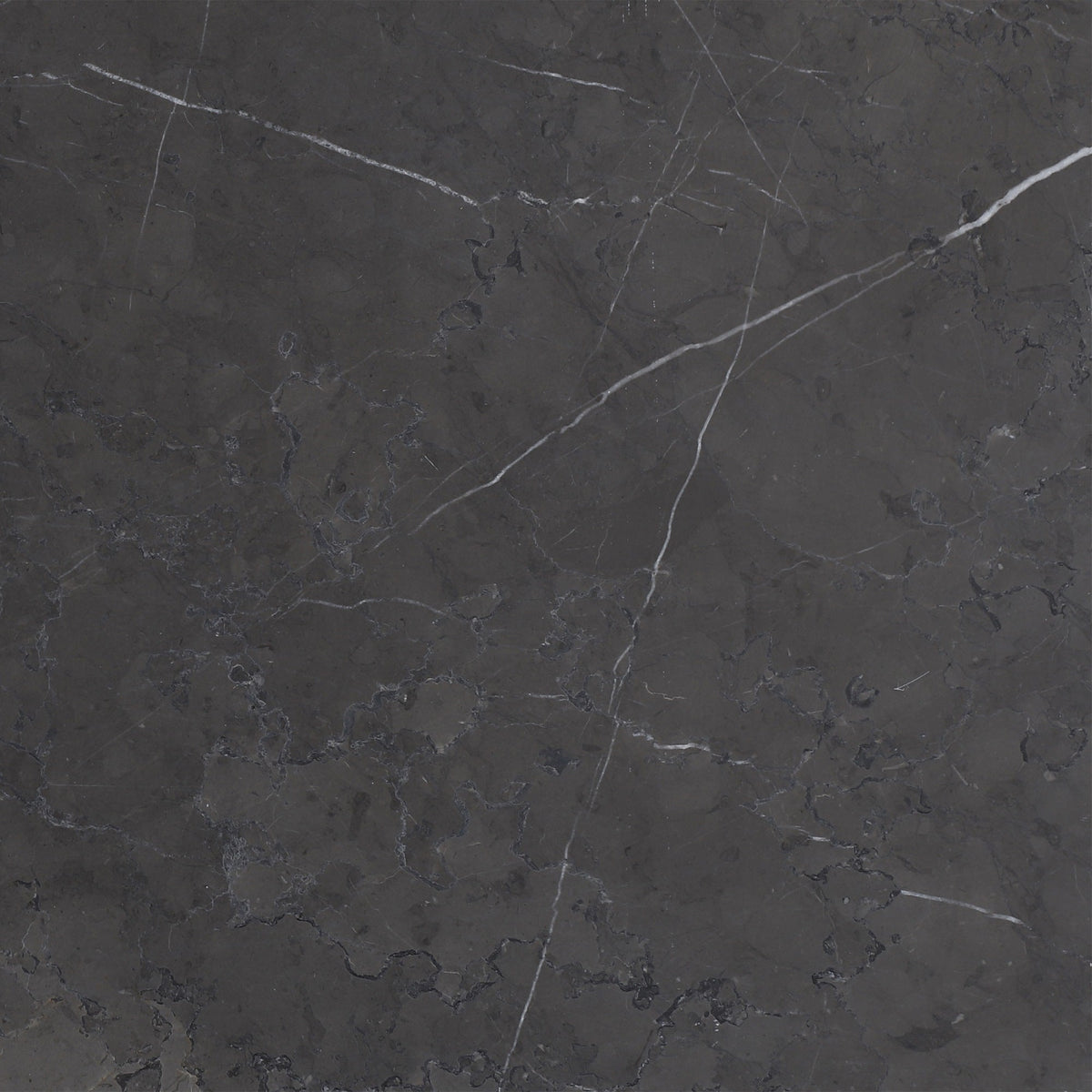 Mount Grey Plain Honed 30 x 30 x 1 cm Field Tile 