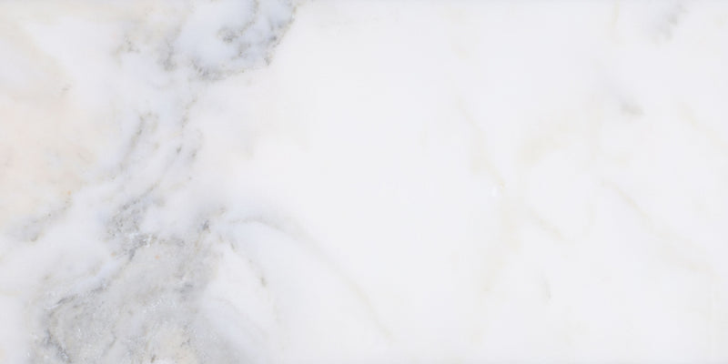 Calacatta Vida Polished 30 x 60 x 1 cm Field Tile