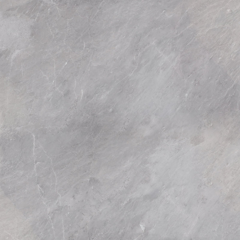 Earth Grey Honed 60 x 60 x 1.25 cm Field Tile
