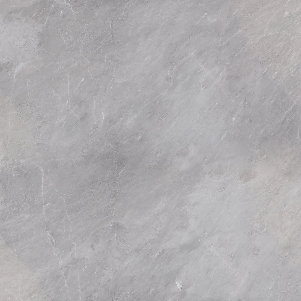 Earth Grey Honed 60 x 60 x 1.25 cm Field Tile 