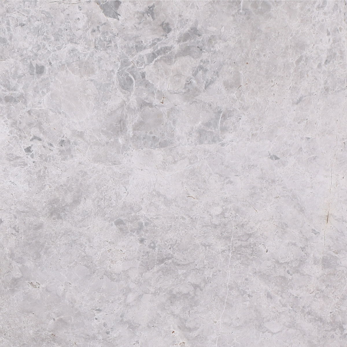 Tundra Grey Polished 30 x 30 x 1 cm Field Tile 