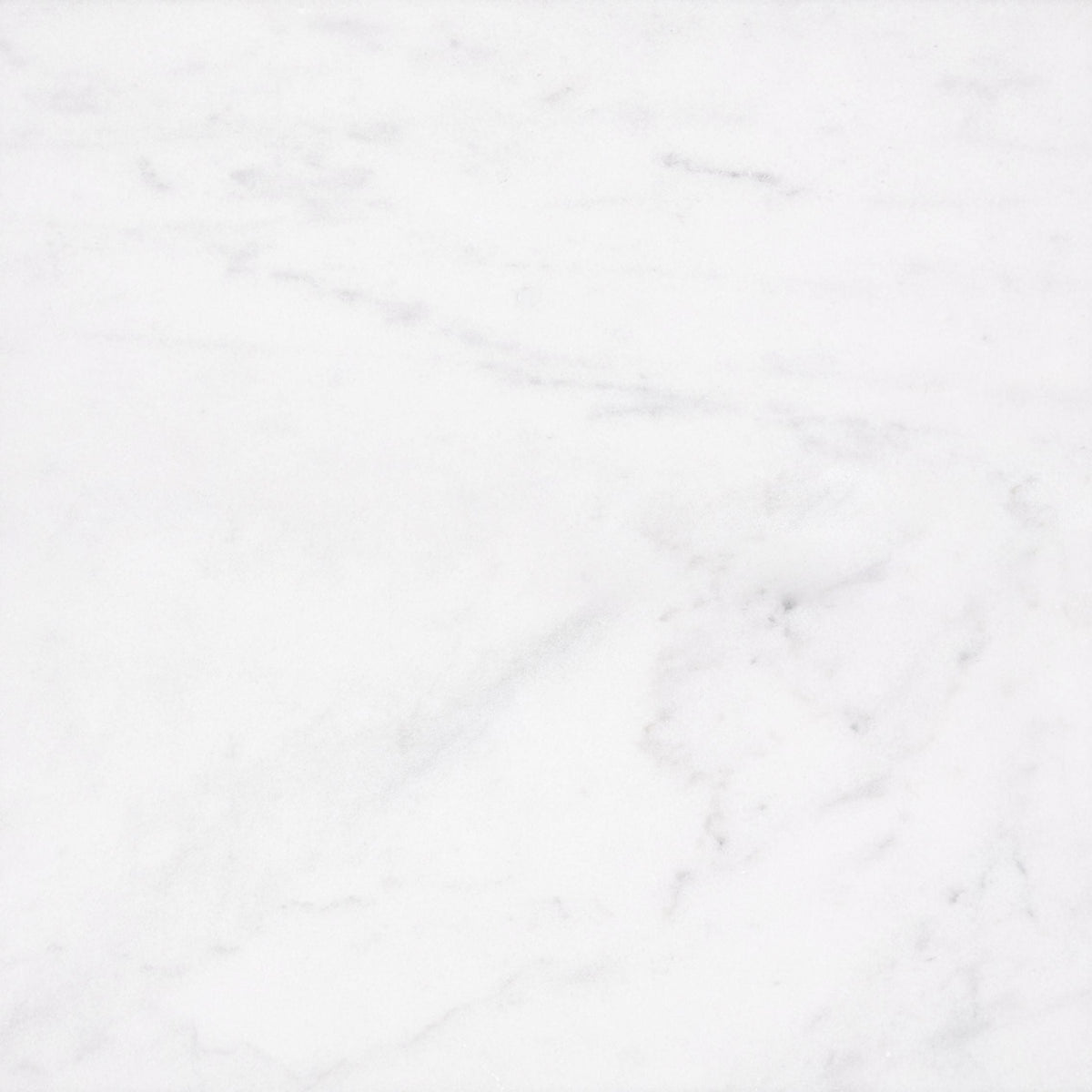 Alba Vera Honed 60 x 60 x 1 cm Field Tile 