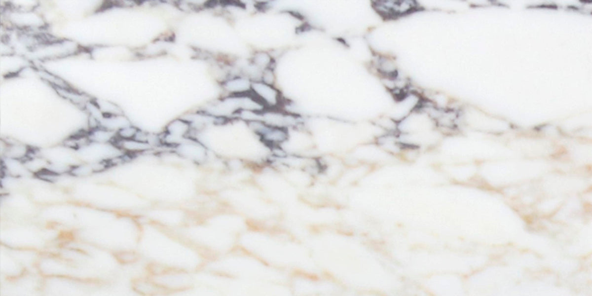 Calacatta Viola Honed 30 x 60 x 1 cm Field Tile 