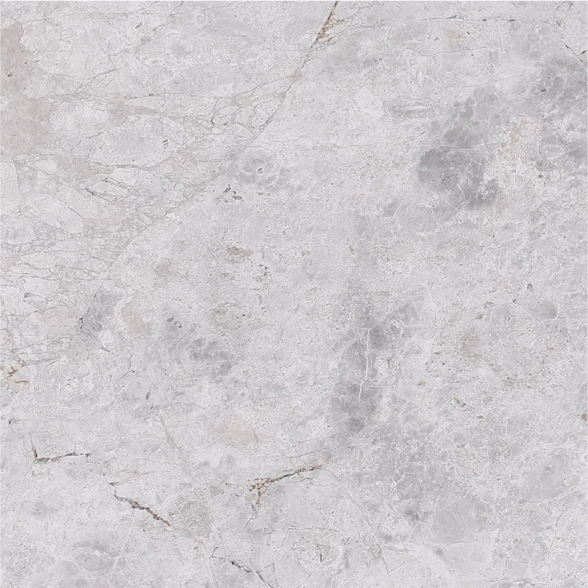 Tundra Grey Honed 30 x 30 x 1 cm Field Tile 