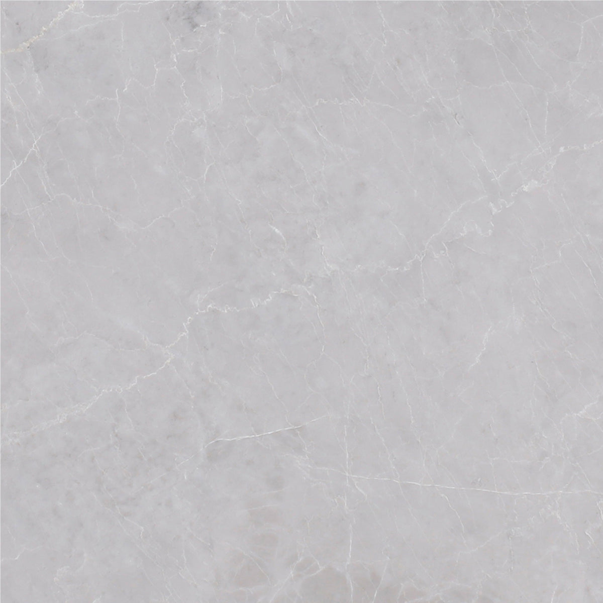 Earth Grey Polished 30 x 30 x 1 cm Field Tile 