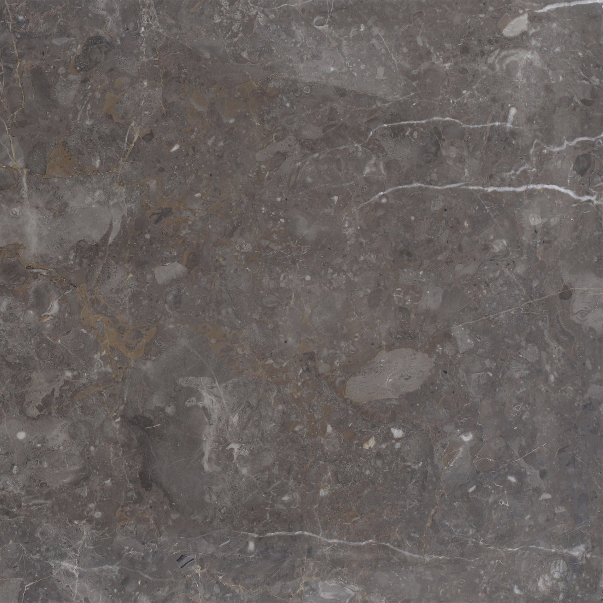 Caribbean Grey Honed 30 x 30 x 1.25 cm Field Tile 