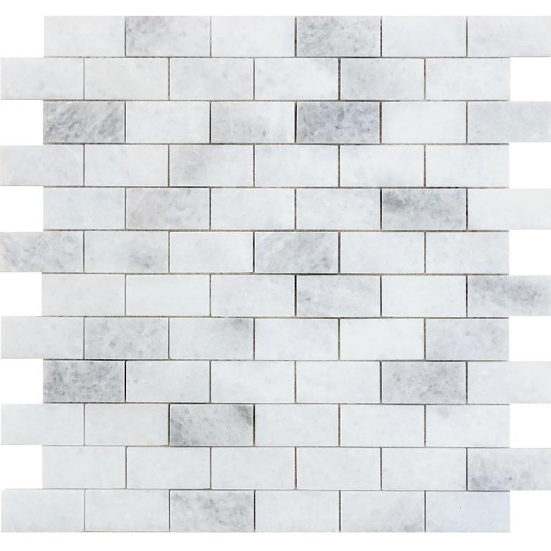 Biarritz White 2.5 x 5 cm Polished Mosaic