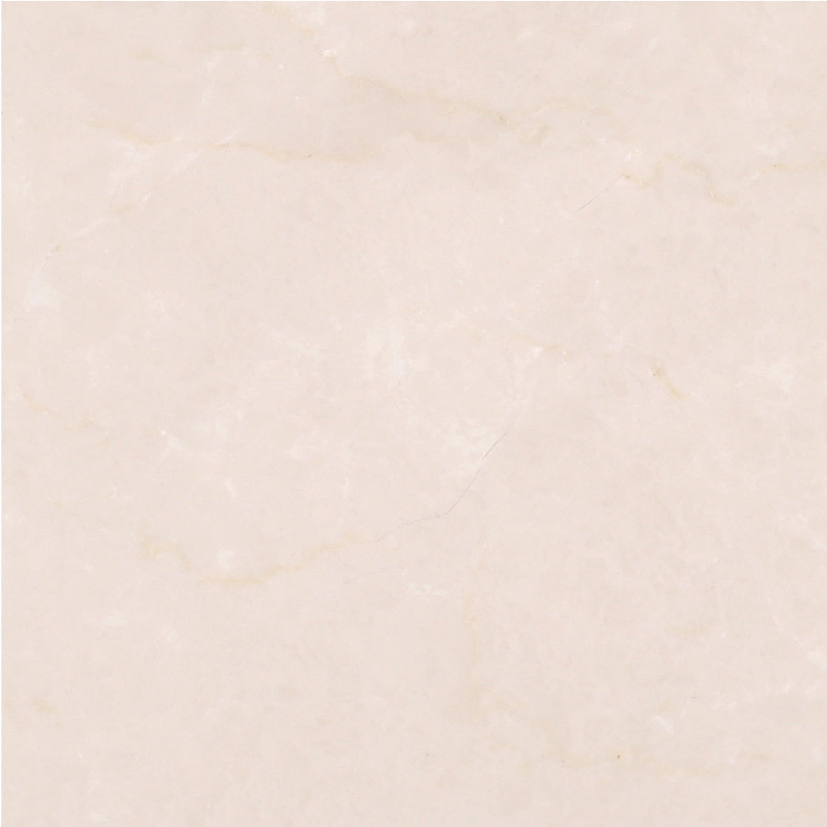 Crema Ella Honed 15 x 15 x 1 cm Field Tile 