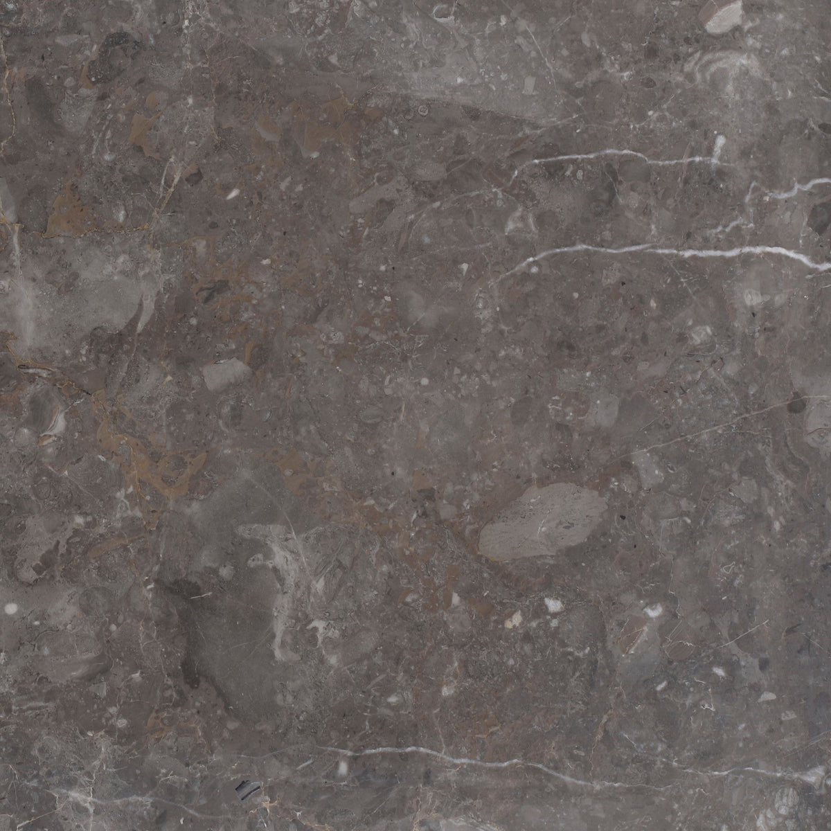 Caribbean Grey Honed 30 x 30 x 1 cm Field Tile 