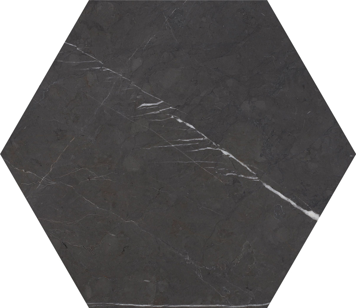 Mount Grey Plain Polished Hexagon 25 x 1 cm Field Tile 
