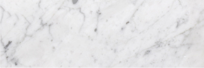 Bianco Carrara Honed 10 x 30 x 1 cm Field Tile