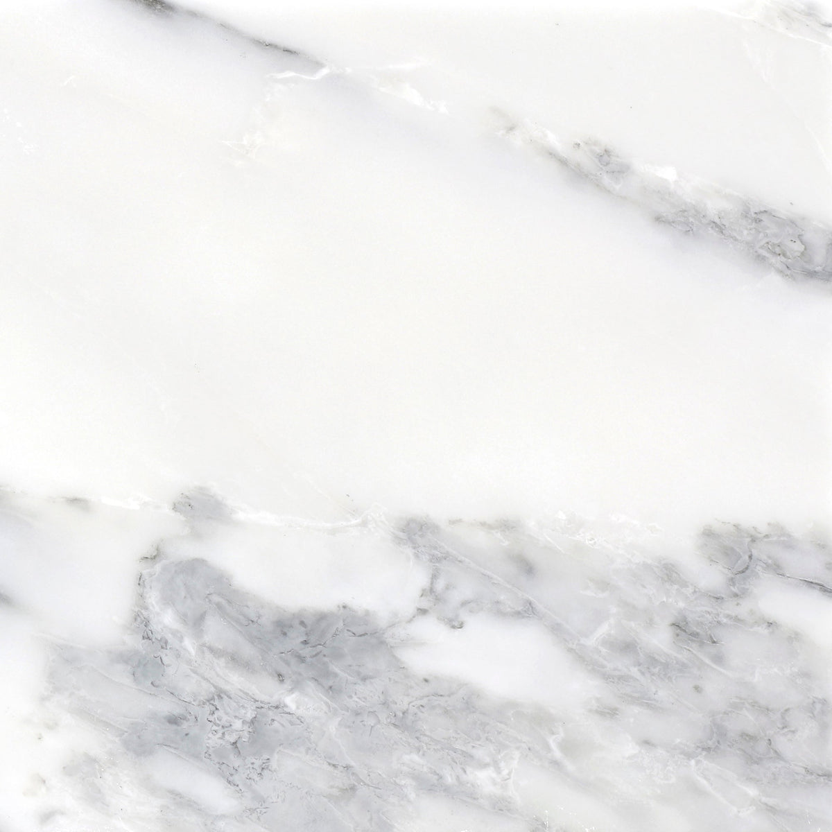 Statuario Honed 30 x 30 x 1 cm Field Tile 