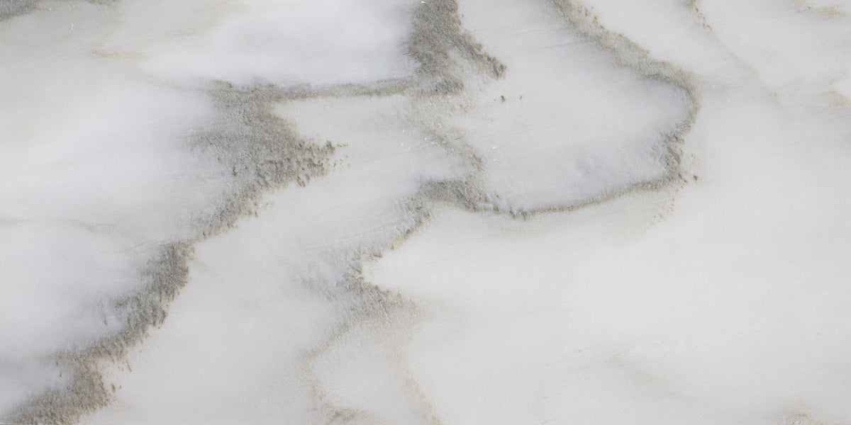 Calacatta Cremo Honed 30 x 60 x 1 cm Field Tile 