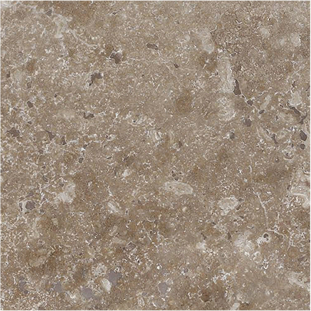Noce Dark CC Honed 15 x 15 x 1 cm Field Tile 