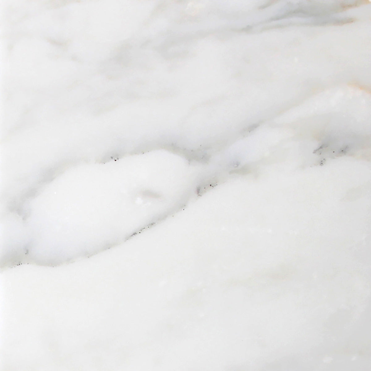 Calacatta Vida Honed 60 x 60 x 1 cm Field Tile 