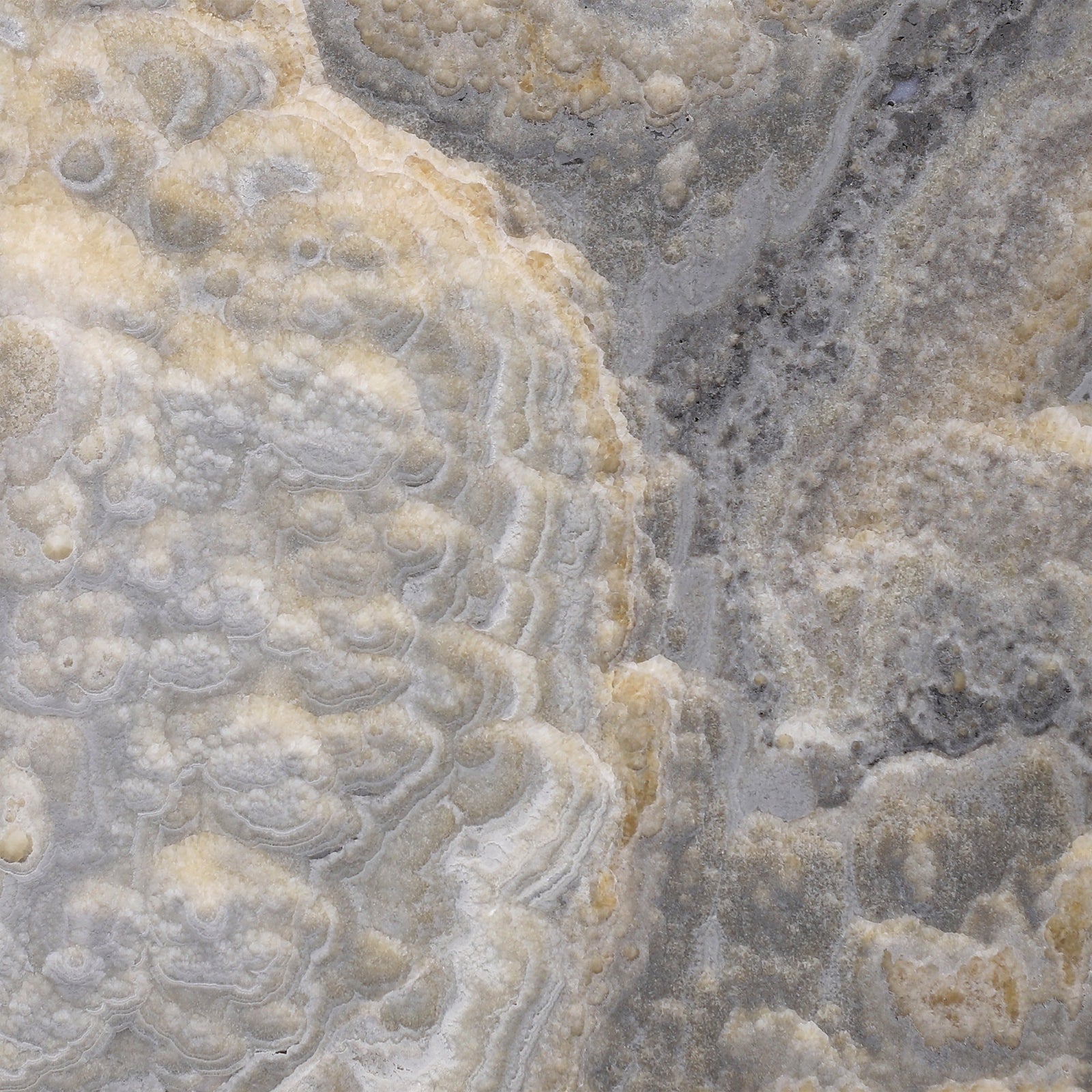 Dover Grey Onyx Honed 30 x 30 x 1 cm Field Tile 